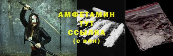 прущие грибы Михайлов