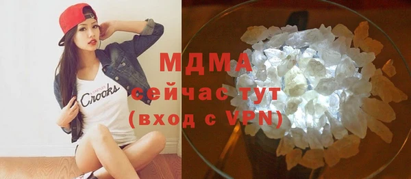 прущие грибы Михайлов
