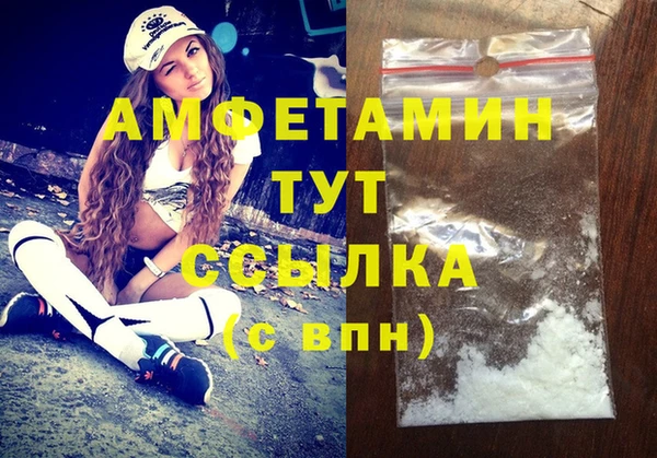 прущие грибы Михайлов