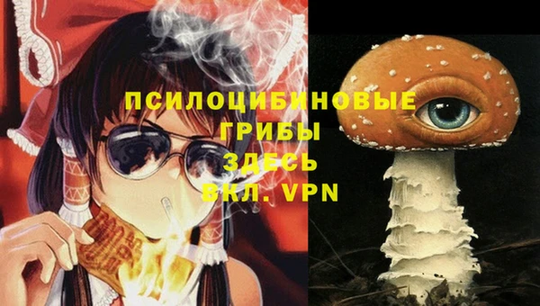 метадон Михайловск