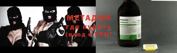 прущие грибы Михайлов