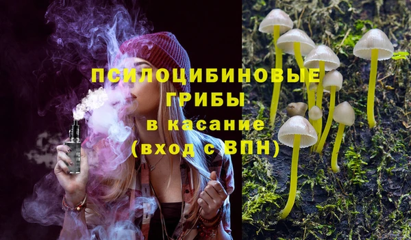 прущие грибы Михайлов