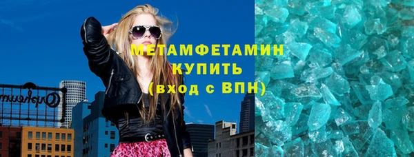 прущие грибы Михайлов